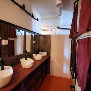 Bunk Bed Mixed Dormitory Room